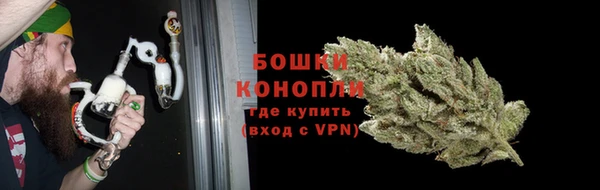 сатива Тайга