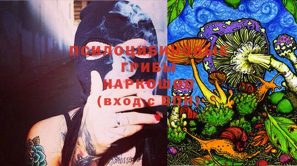 амф Белокуриха