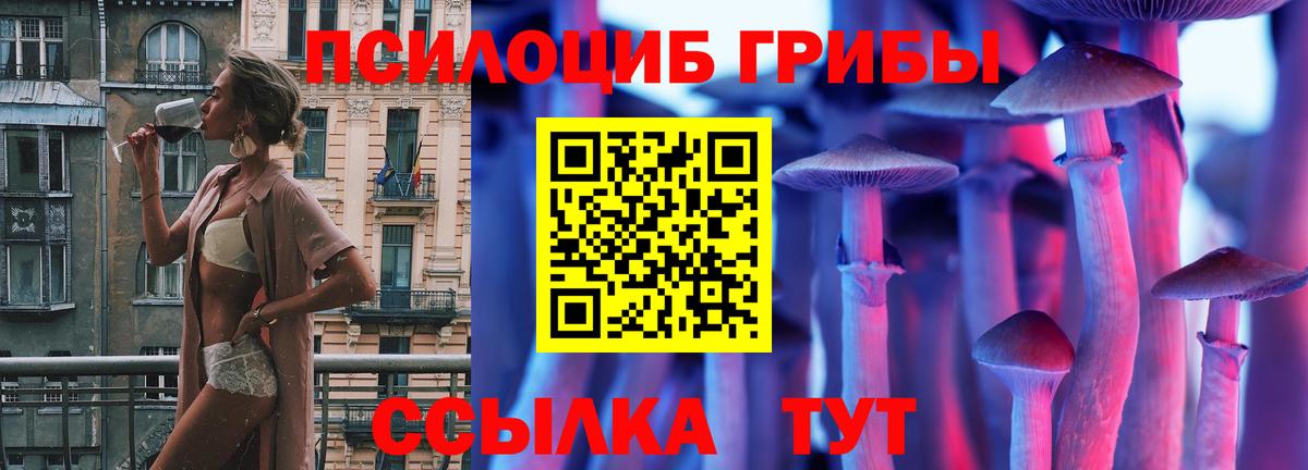 Псилоцибиновые грибы Psilocybe Острогожск